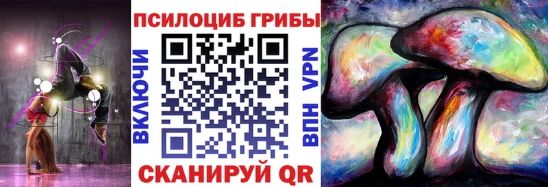 хочу наркоту  Рыбное  Галлюциногенные грибы MAGIC MUSHROOMS 
